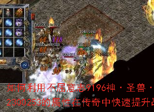 ������ò�����־9196��ʥ�ޡ���ȸ302300253�������ڴ����п�������ս����